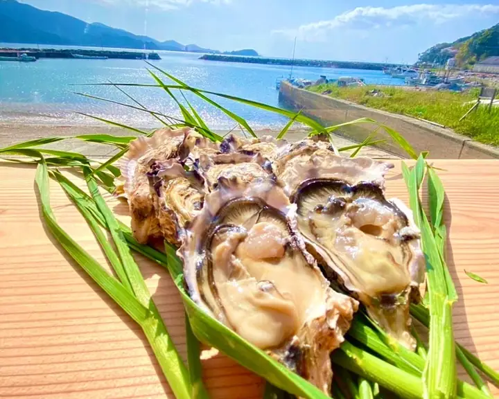木の板の上に、むき身の牡蠣と緑の葉。うしろに青い海と防波堤が見える