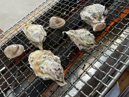 ガスの焼き台の網に、殻つきの牡蠣とハマグリが並び、下に火が見える